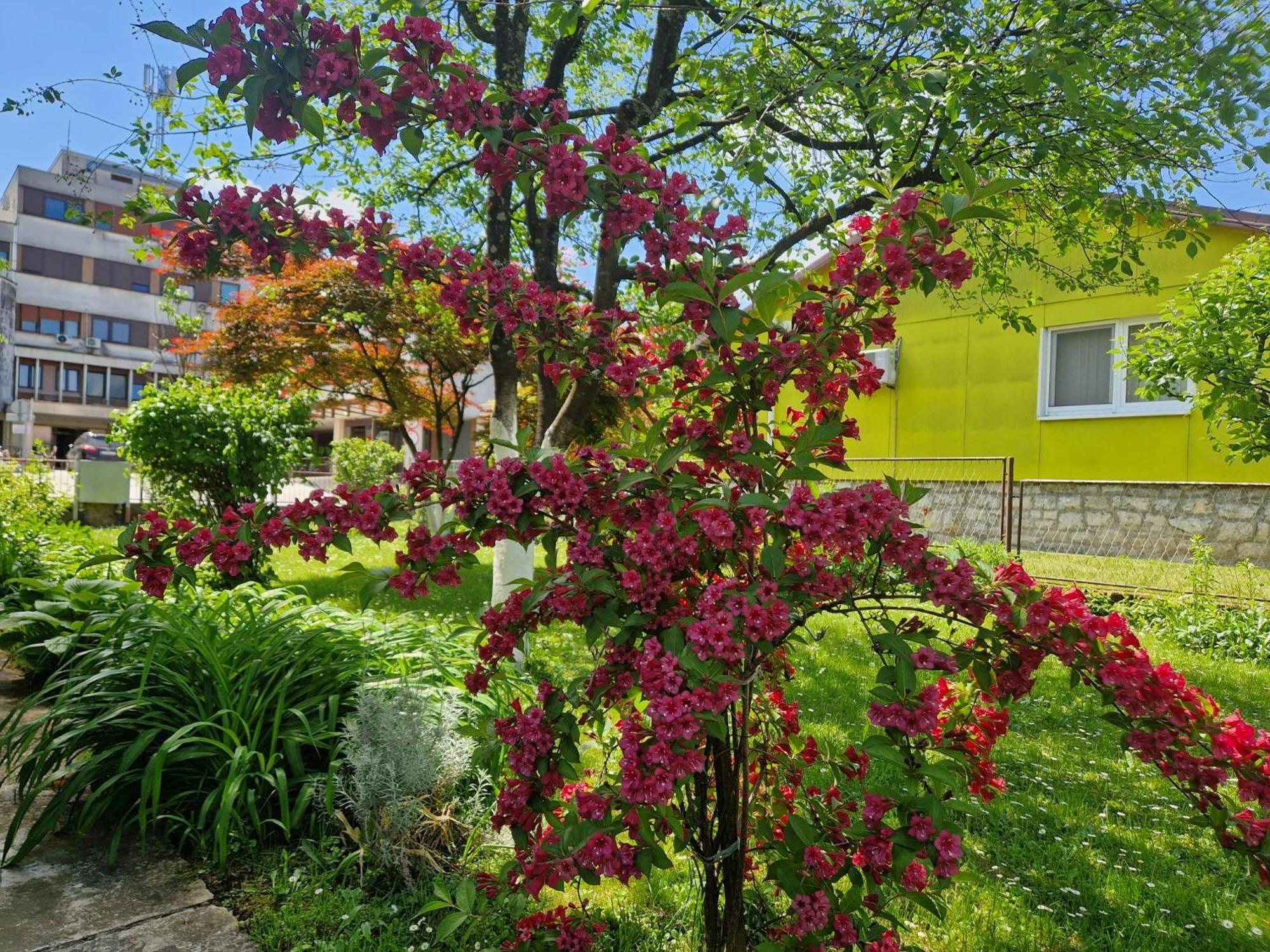 Studio Apartman Marica - Ogulin, Hrvatska Екстер'єр фото
