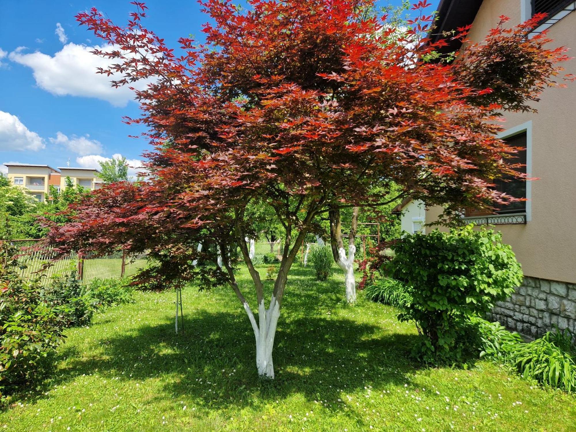Studio Apartman Marica - Ogulin, Hrvatska Екстер'єр фото
